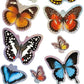 Avenir - 3D Stickers 10 pack - Butterfly Multicolour | These beautiful and realistic - looking 3D stickers pop out to showcase a gorgeous collection. | ages 3+ - Marah Kids