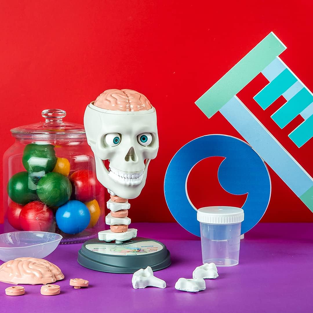 CLEMENTONI Science & Play Crazy Anatomy Lab - Marah Kids