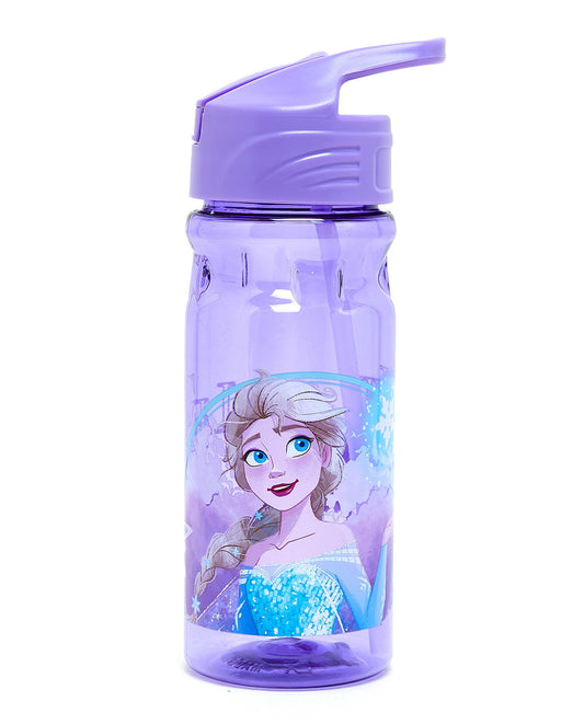DISNEY FROZEN FIND YOUR DESTINY WATER BOTTLE - Marah Kids