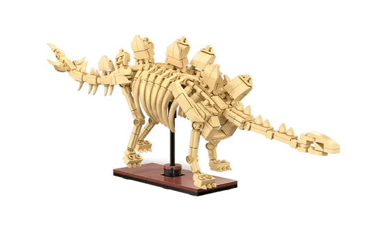 Cada Dinosaur Fossils: Stegosaurus - Marah Kids