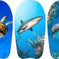 MONDO KICK BOARD 84CM SEA ANIMALS 3ASST - Marah Kids
