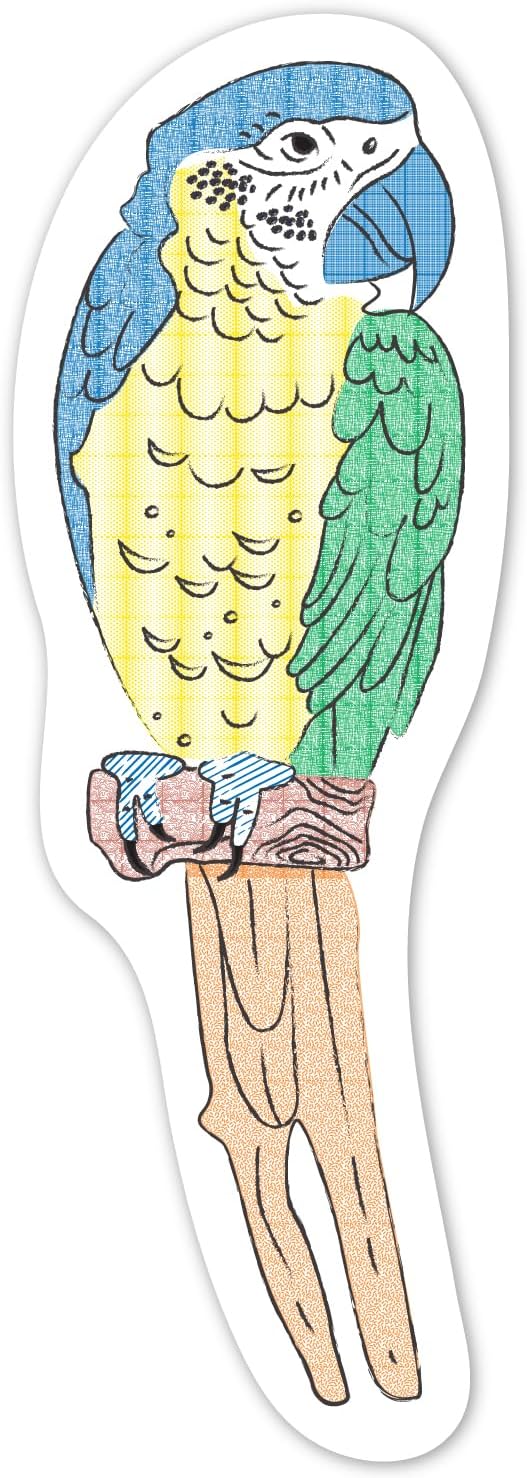 Avenir - Paint by Water - Bookmarks - Bird Multicolour | Paint by Water Art lets little ones discover easy, fun painting - with no mess! | Ages 3+ - Marah Kids