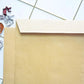 MAXI BROWN ENVELOPES 110 GSM 12"X10" P&S 25'S - Marah Kids