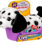 MOOSE LITTLE LIVE PUPPY MINI PEPPER - Marah Kids