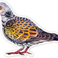 Avenir - Scratch Stickers - Bird Multicolour | Decorate and colour the 4 ferocious stickers with scratch art | For ages 3 years+ - Marah Kids
