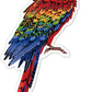 Avenir - Scratch Stickers - Bird Multicolour | Decorate and colour the 4 ferocious stickers with scratch art | For ages 3 years+ - Marah Kids
