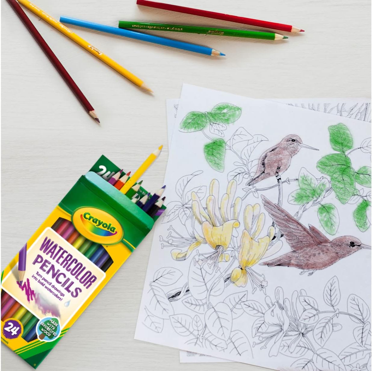 Crayola Watercolor Pencils, 24 Count - Marah Kids