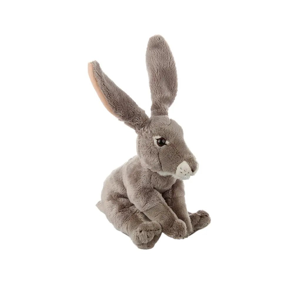 Natgeo Plush Premium Jack Rabbit 6In - Marah Kids