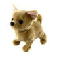 Chili Walking Dog