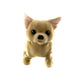 Chili Walking Dog