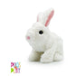 Hopper Jumping Rabbit