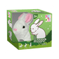 Hopper Jumping Rabbit