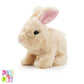 Cookie Jumping Rabbit