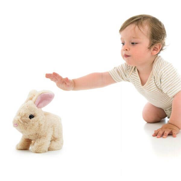 Cookie Jumping Rabbit