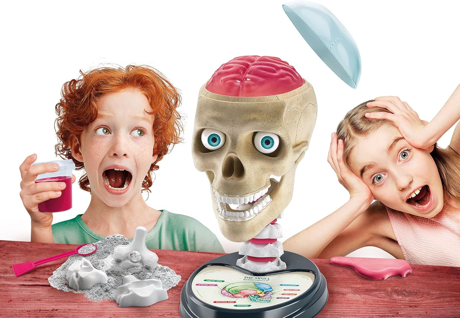 CLEMENTONI Science & Play Crazy Anatomy Lab - Marah Kids