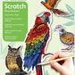 Avenir - Scratch Stickers - Bird Multicolour | Decorate and colour the 4 ferocious stickers with scratch art | For ages 3 years+ - Marah Kids