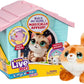 MOOSE LITTLE LIVE MINI PLAYSET - Marah Kids