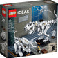 LEGO Ideas 21320 Dinosaur Fossils Building Kit (910 Pieces)