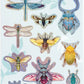 Avenir - 3D Stickers 10 pack - Insect Multicolour | These beautiful and realistic - looking 3D stickers pop out to showcase a gorgeous collection. | ages 3+ - Marah Kids