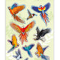 Avenir Natural Creation 3D Bird Puffy Stickers (12 pcs) - Marah Kids