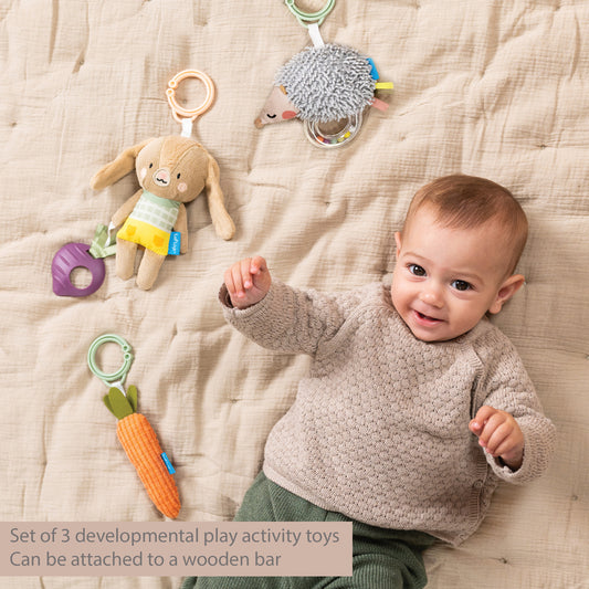 Taf Toys Urban Garden Activity Kit | 3 Plush Sensory Toys for Babies 0M+