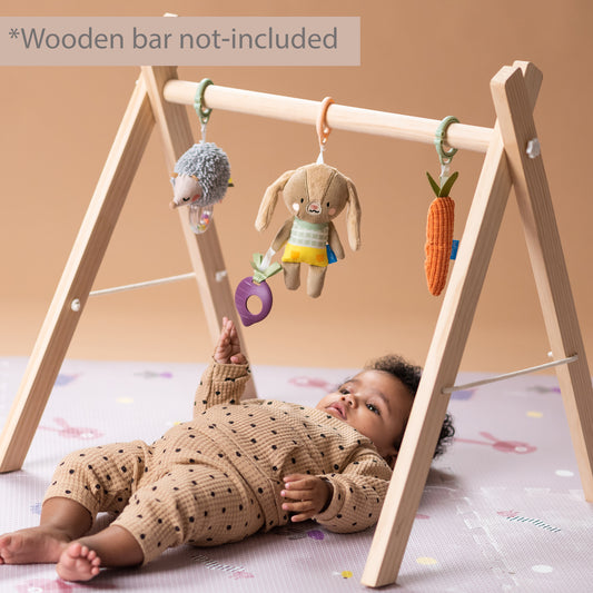 Taf Toys Urban Garden Activity Kit | 3 Plush Sensory Toys for Babies 0M+