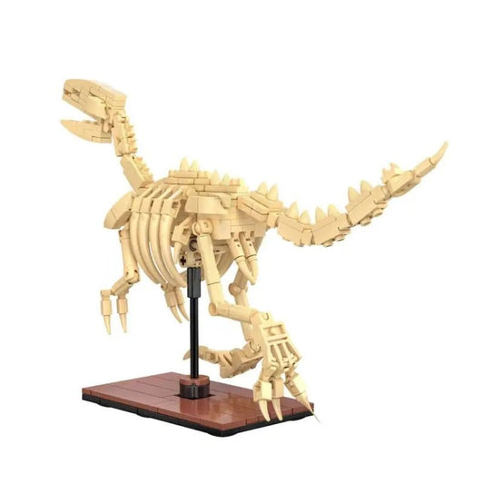Cada Dinosaur Fossils: Velociraptor - Marah Kids