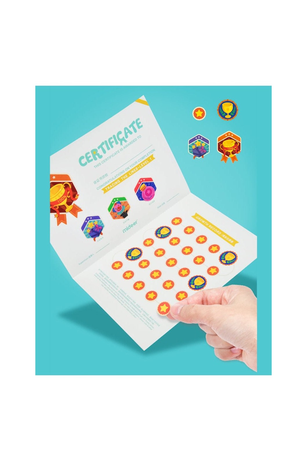 Finger Fun - Wipe-Clean Workbook
