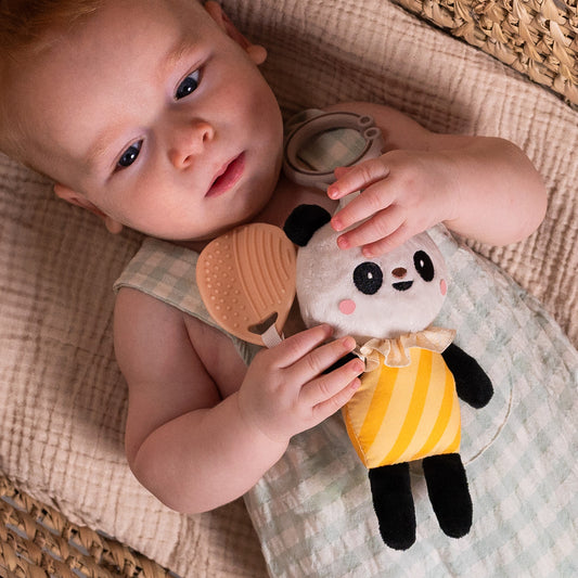 Taf Toys - Pamela Activity Toy - Marah Kids