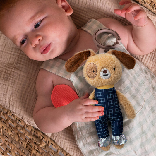 Taf Toys - Daniel Activity Toy