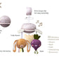Taf Toys - Garden Take - Along Mobile - Marah Kids