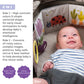 Taf Toys Urban Garden Soft Cloth Book | Crinkle & Sensory Tummy Time Toy, 0M+
