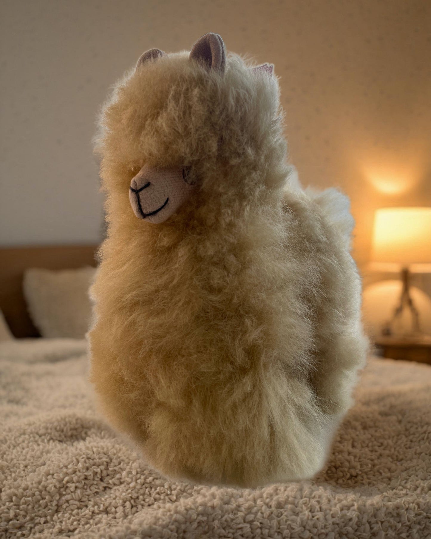 Indi Alpaca – Champagne TA - I15CH - Marah Kids