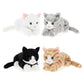 Keel - Keeleco Kittens 22Cm 4Asst - Marah Kids