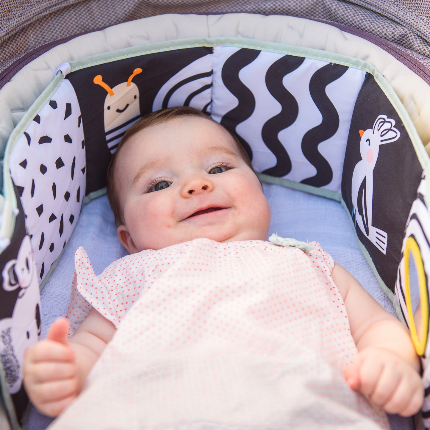 Taf Toys Koala clip on pram book