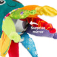 Lamaze - Captain Calamari - Marah Kids