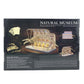 CUBIC FUNun 3D Puzzle Blue Whale (Balaenoptera Musculus) 222 - Pieces - Marah Kids