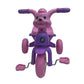 Lovely Baby Kids Trike - Pink - Marah Kids