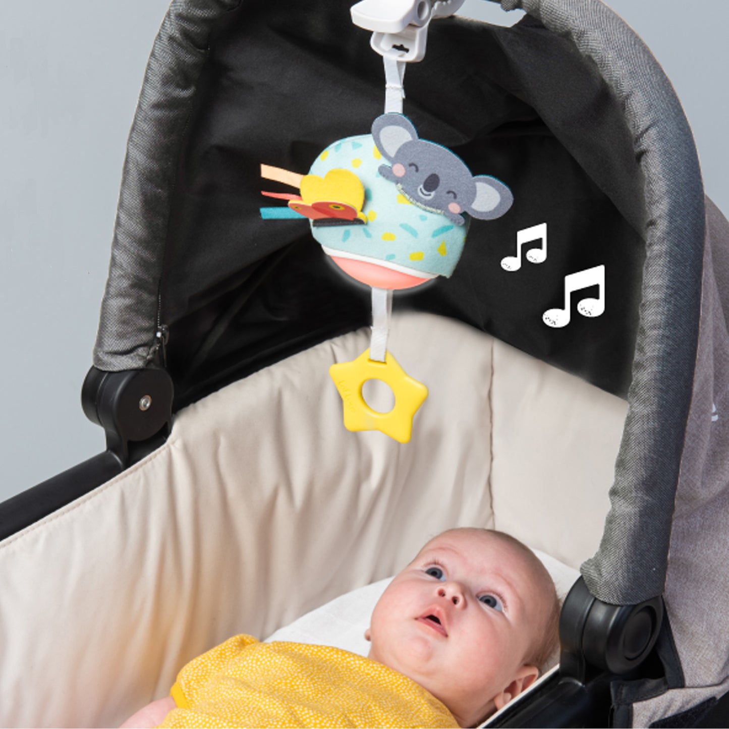 Taf Toys - Musical Koala - Marah Kids