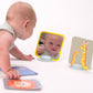 Taf Toys - My 1st Tummy - time Cards - Marah Kids