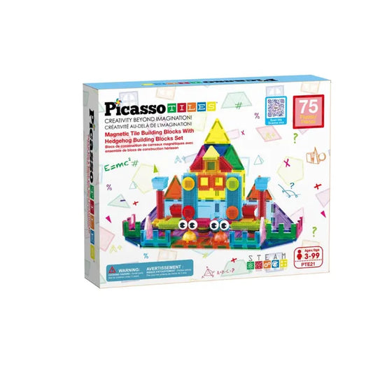 Picasso Magnetic W/ Hedgehog Set 75Pcs