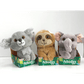 Jaswar - Petooties Jungle Friends 4In S16 6Asst - Marah Kids