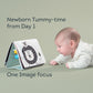 Taf Toys Savannah Tummy-time book