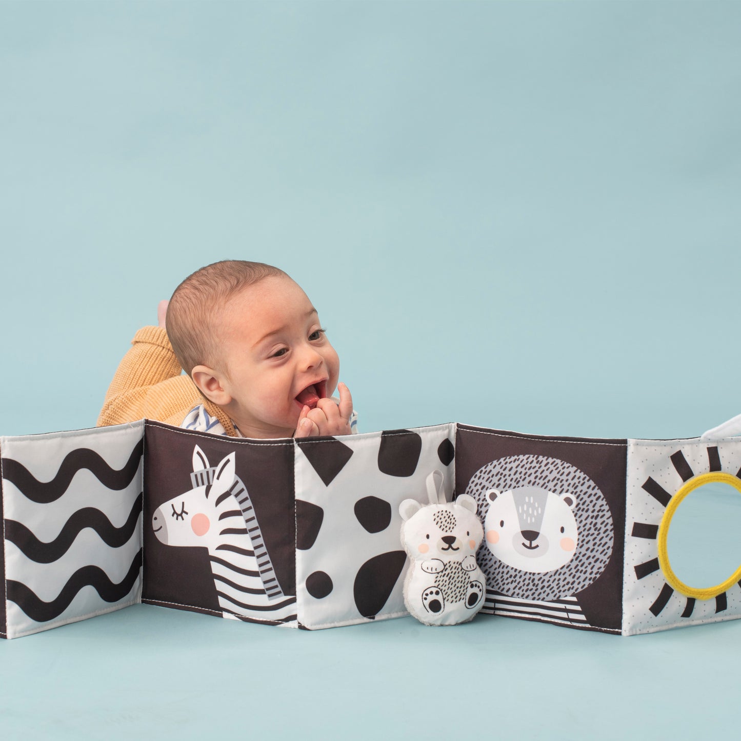 Taf Toys Savannah Black & white book