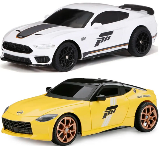 Newbright RC Sportscar 1/24 2Asst B/O