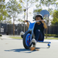 Razor Riprider 360 Blue