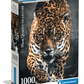 Clementoni Puzzle HQC Walk of the Jaguar+Poster 1000 - pieces - Marah Kids