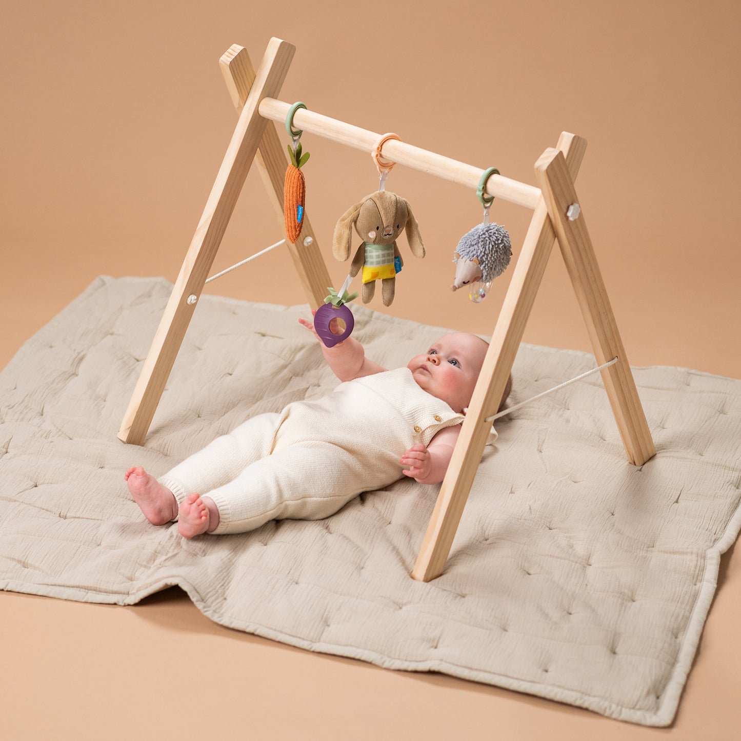 Taf Toys Urban Garden Activity Kit | 3 Plush Sensory Toys for Babies 0M+