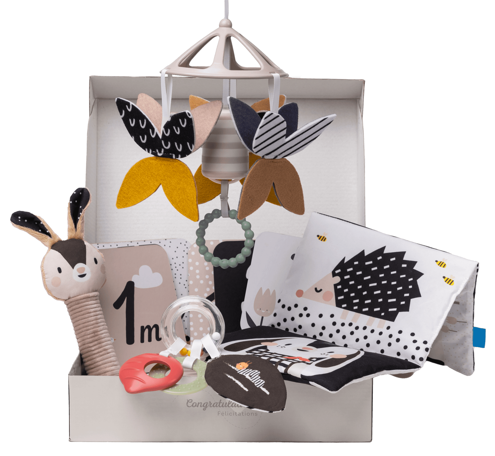 Taf Toys - Newborn Black & White Kit - Marah Kids
