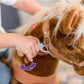 PonyCycle Ride on Horse Toy Boys and Girls Age 3 - 5 old - Brown - Marah Kids
